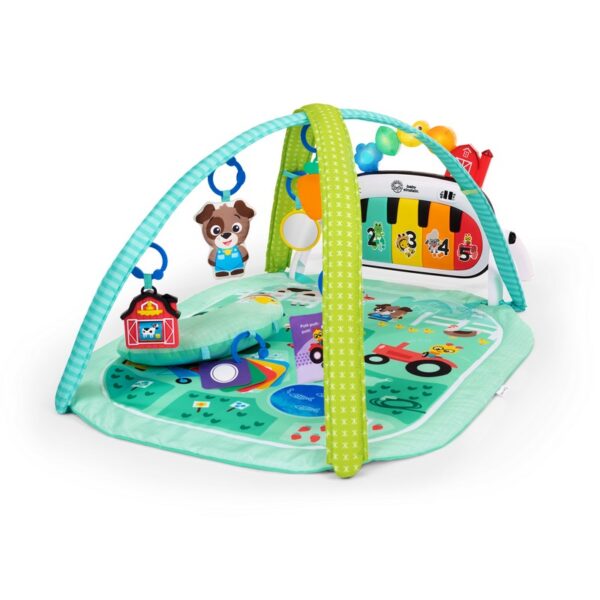 BABY EINSTEIN - GIMNASIO DE ACTIVIDADES MUSICAL MEDO BABY EINSTEN 17447
