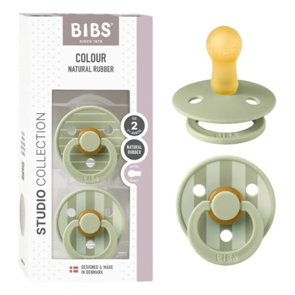 BIBS - CHUPETE SALVIA T2 PACKX2 12015102