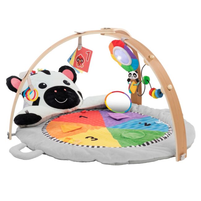 BABY EINSTEIN -  GIMNASIO  ACTIVIDADES ZEN 16636