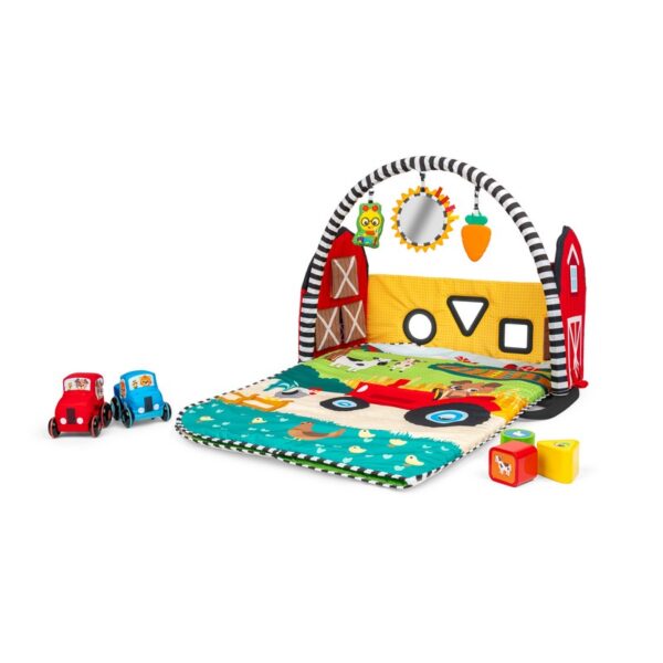 BABY EINSTEIN - GIMNASIO DE ACTIVIDADES GROW BABY EINSTEIN 17327
